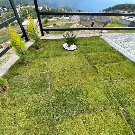 Villa Alinca Infinity